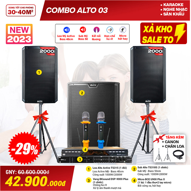 D&agrave;n karaoke Active JBL RM210