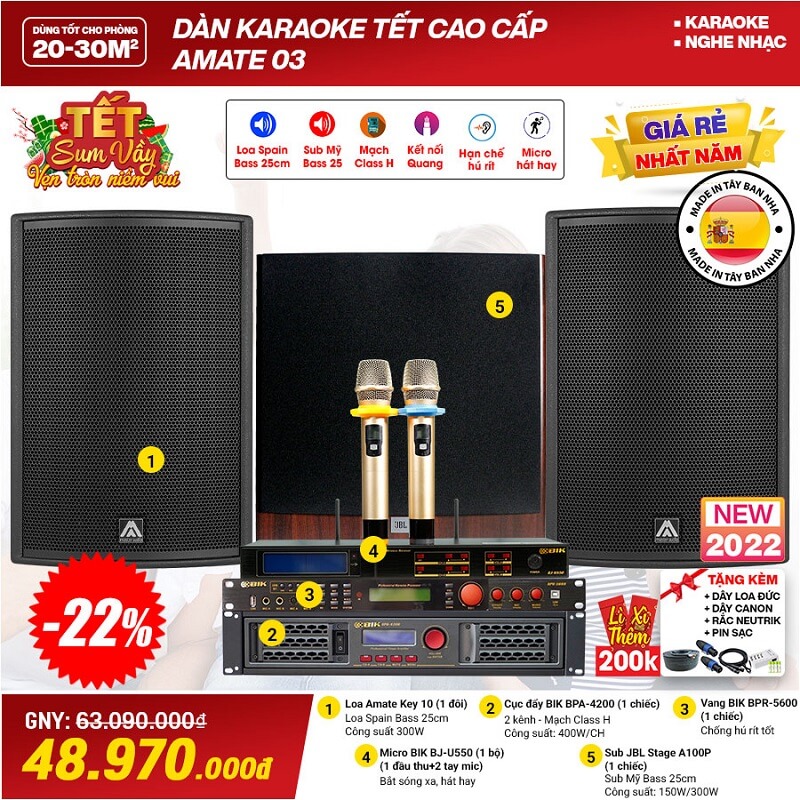 D&agrave;n karaoke cao cấp Amate 03