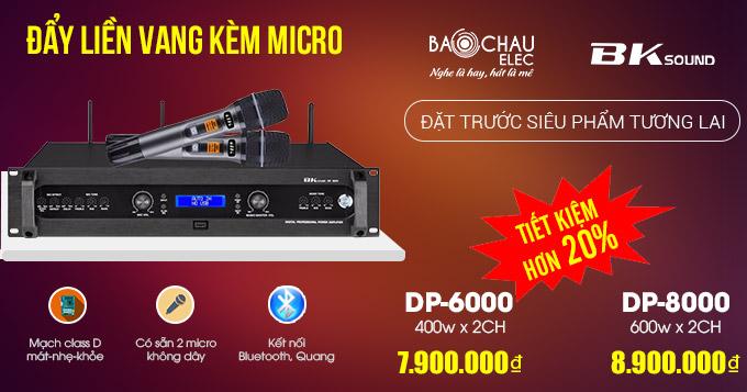 Đẩy liền vang k&egrave;m micro kh&ocirc;ng d&acirc;y