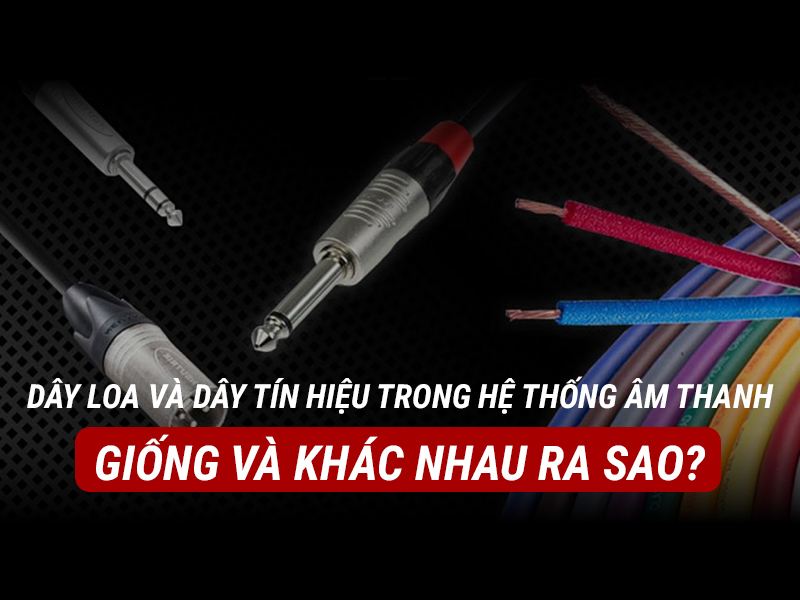 D&acirc;y loa v&agrave; d&acirc;y t&iacute;n hiệu trong hệ thống &acirc;m thanh giống v&agrave; kh&aacute;c nhau ra sao?