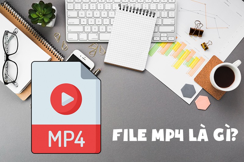 Giới thiệu về định dạng file MP4