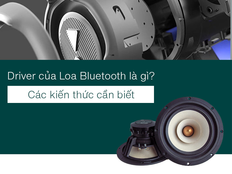 Driver của Loa Bluetooth l&agrave; g&igrave;?