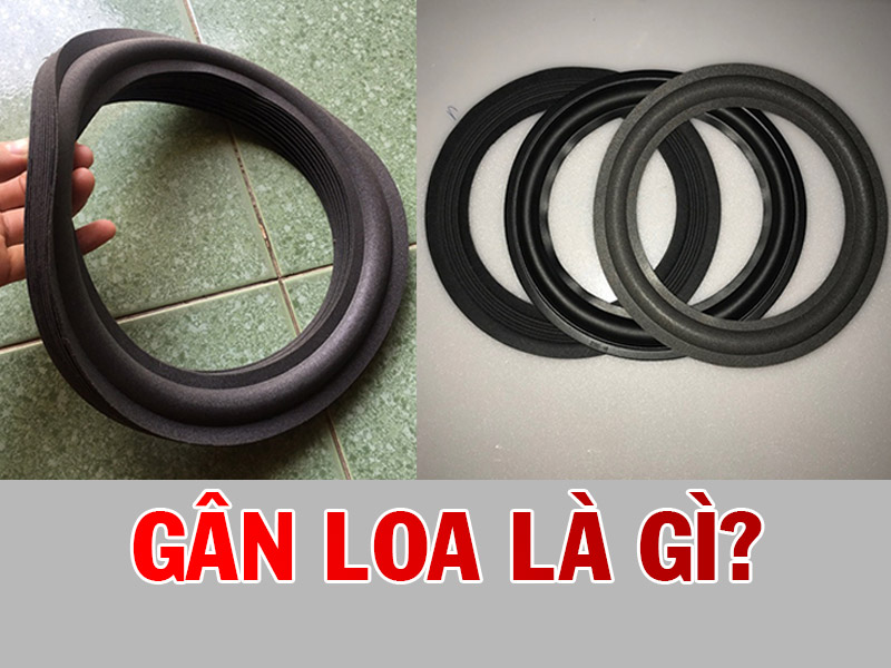 gân loa là gì