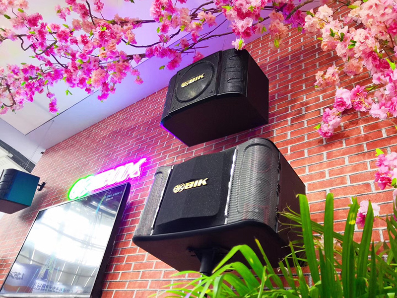 Giới thiệu thương hiệu BIK