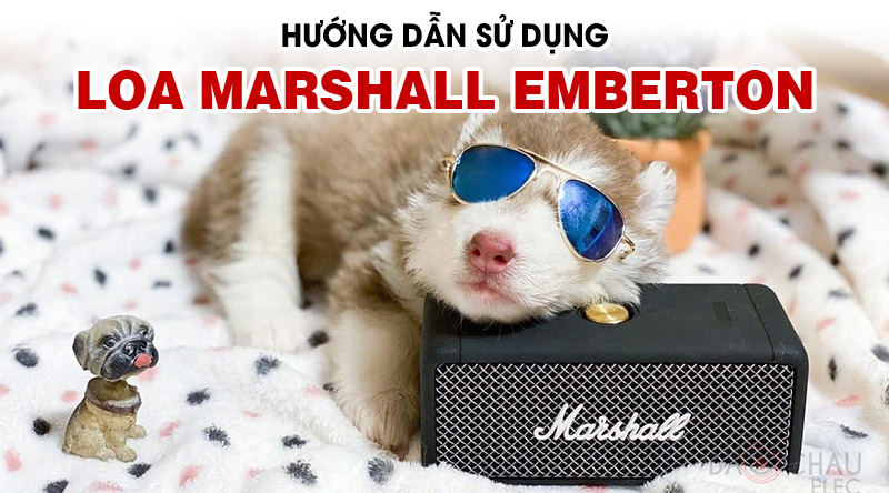 Hướng dẫn sử dụng Loa di động Marshall Emberton chi tiết 