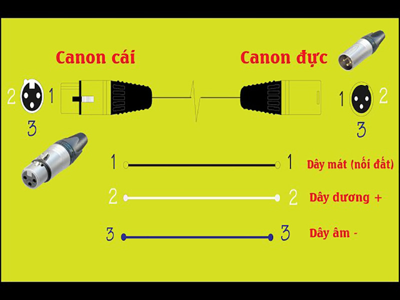 Jack Canon l&agrave; g&igrave;? V&igrave; sao lại quan trọng trong c&aacute;c kết nối &acirc;m thanh