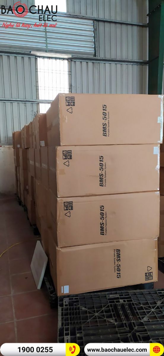 Loa kéo BIK Nhật hay nhất 2022 về hàng ngập lối tại Bảo Châu Elec, cảnh báo cháy hàng
