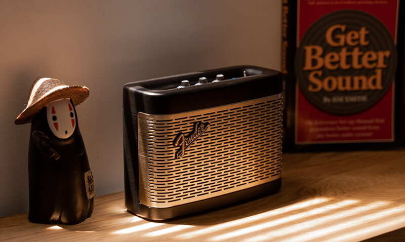 Loa Fender Newport 2