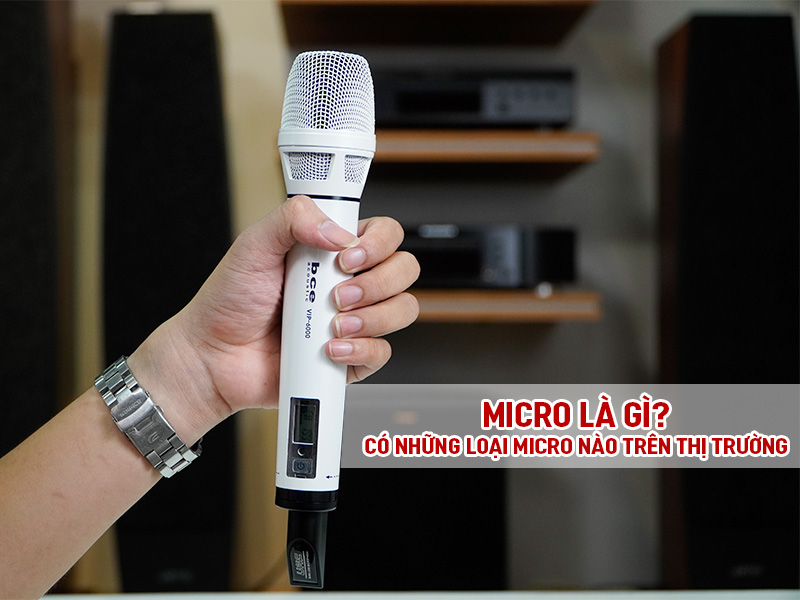 Micro l&agrave; g&igrave;? C&oacute; những loại micro n&agrave;o tr&ecirc;n thị trường