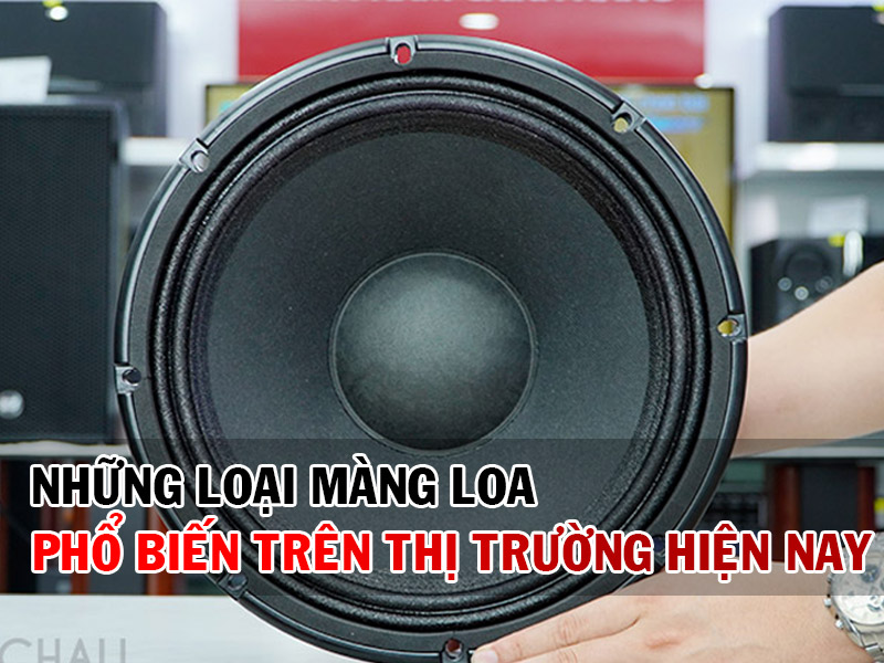 những loại màng loa phổ biến nhất hiện nay