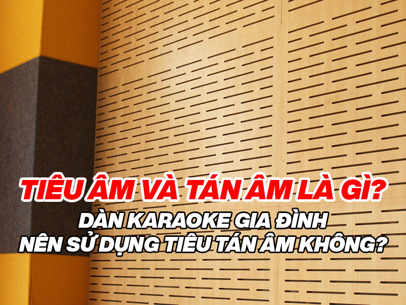 Ti&ecirc;u &acirc;m v&agrave; t&aacute;n &acirc;m l&agrave; g&igrave;? D&agrave;n karaoke gia đ&igrave;nh n&ecirc;n sử dụng ti&ecirc;u t&aacute;n &acirc;m kh&ocirc;ng?