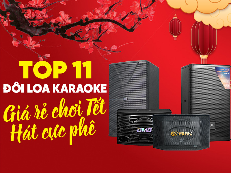 Top 11 đ&ocirc;i loa karaoke gi&aacute; rẻ chơi Tết, h&aacute;t cực ph&ecirc; c&ugrave;ng gia đ&igrave;nh