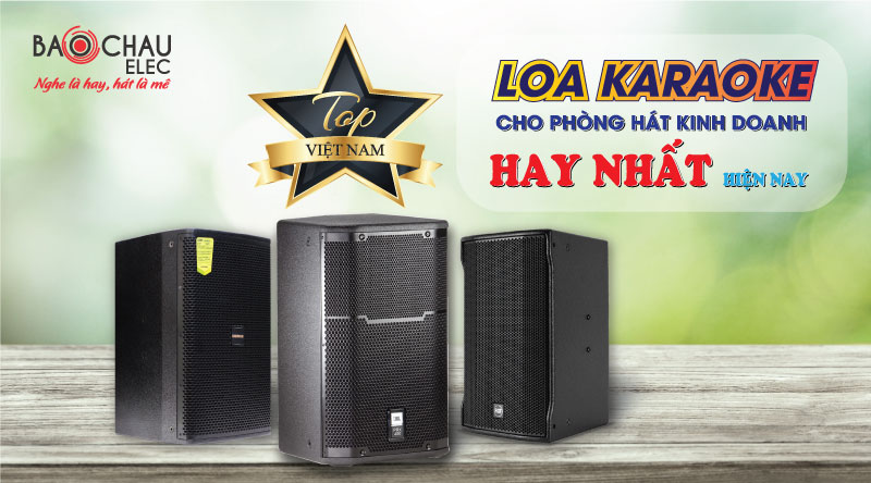 Loa RFC chất &acirc;m hay, sống động 