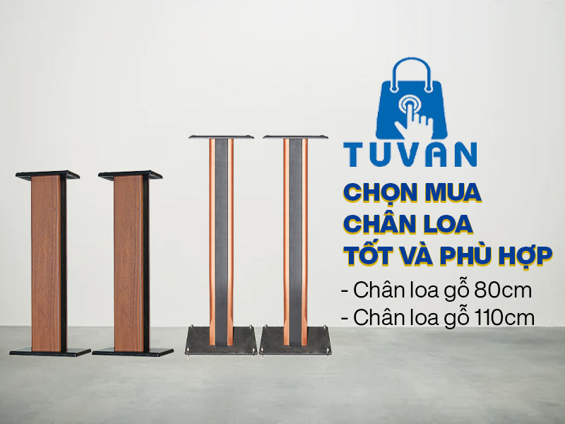 tư vấn chọn mua ch&acirc;n loa tốt nhất
