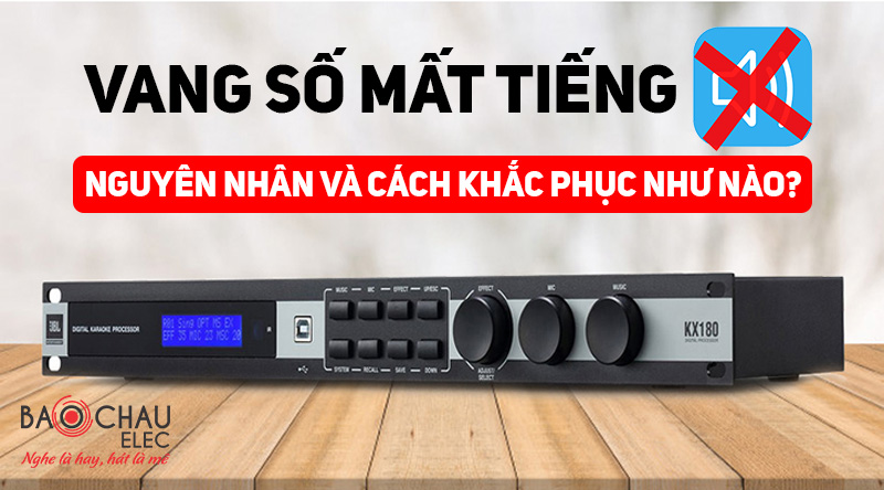 Vang số tự nhiên mất tiếng ? Đâu là nguyên nhân và cách khắc phục như nào ?