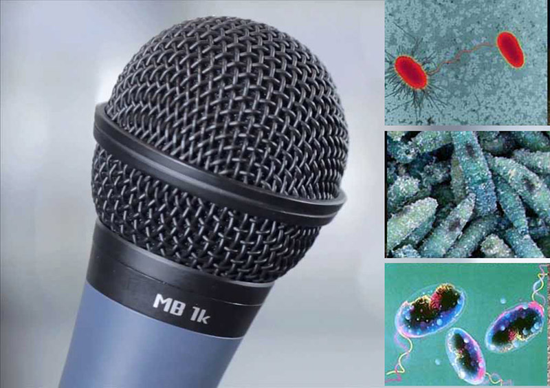 Hậu quả đ&aacute;ng tiếc nếu kh&ocirc;ng vệ sinh v&agrave; bảo quản micro kh&ocirc;ng d&acirc;y đ&uacute;ng c&aacute;ch
