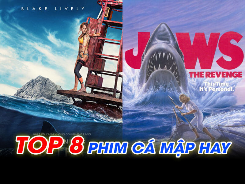 TOP 8 Phim Cá Mập Hay, Rùng Rợn, Gây Ám Ảnh Người Xem