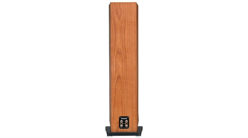 Cổng kết nối của Loa Tannoy Revolution XT 6F nằm ở mặt sau