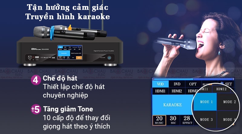 Digital Karaoke Power Amplifier BKSound DKA 6500