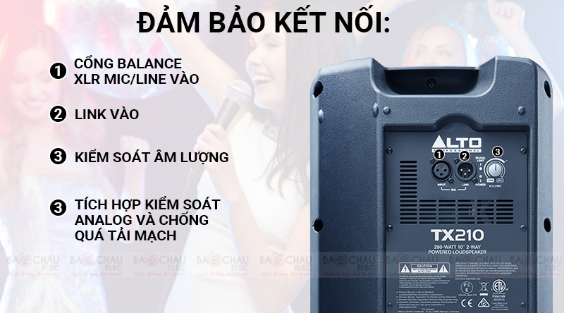 Loa Alto TX210 đầy đủ th&ocirc;ng số kĩ thuật, jack kết nối ở mặt sau
