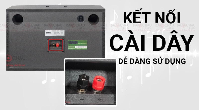 Loa karaoke BMB CSE 310II kết nối c&agrave;i d&acirc;y