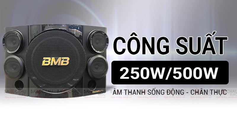 Loa karaoke BMB CSE 310SE cho &acirc;m thanh sống động