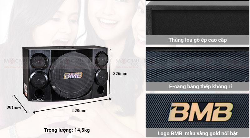Loa BMB CSE 310SE trọng lượng nhỏ gọn