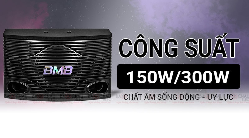 Loa karaoke BMB CSN 300SE bass 20 cm 