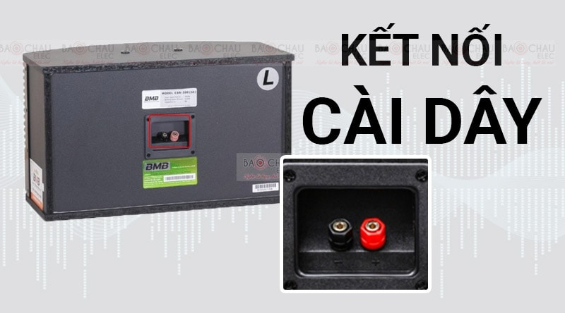 Mặt sau Loa BMB CSN300SE