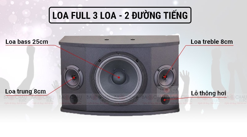 BMB-CSN-500(4) Loa karaoke CSN 500SE bass loa sâu