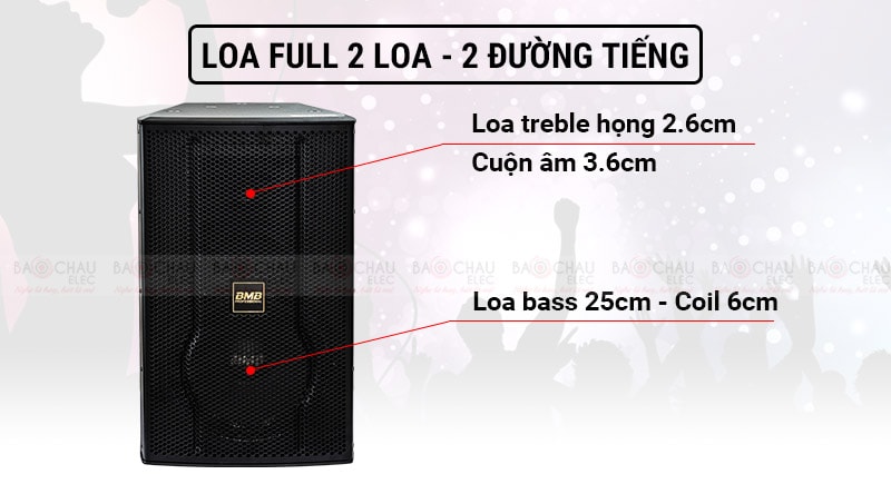 Loa karaoke BMB CSS 3010 cấu tạo 2 loa, 2 đường tiếng