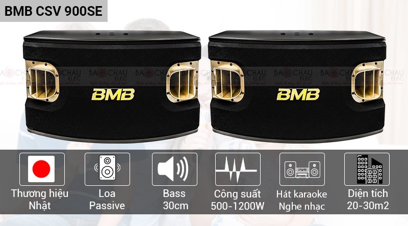 Loa karaoke BMB CSV 900SE