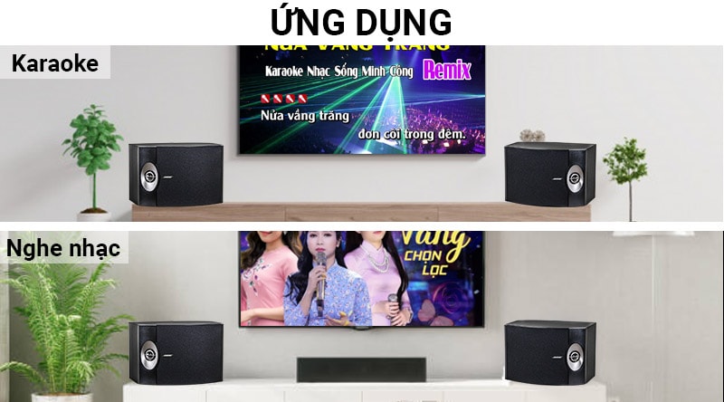 Loa Karaoke Bose 301 Series V tính ứng dụng cao