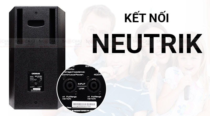 Loa karaoke Domus DP 6100