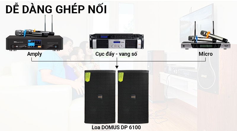 Loa karaoke Domus DP 6100