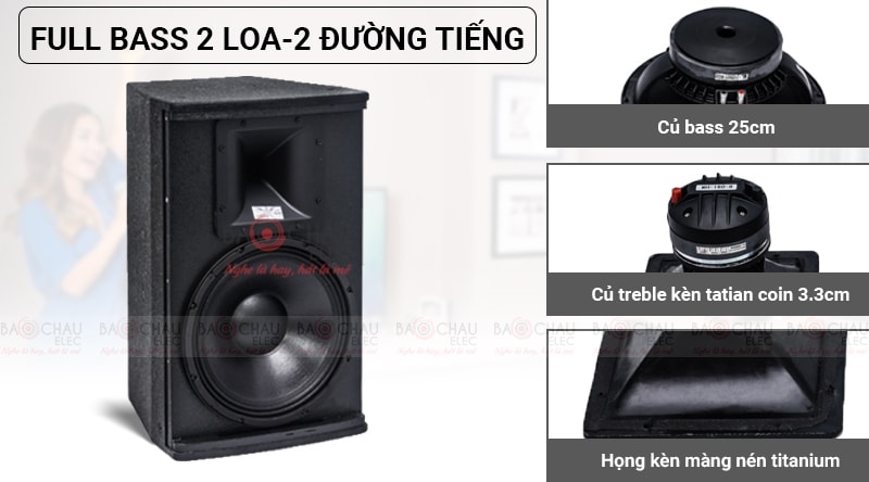 Loa karaoke Domus DP 6100