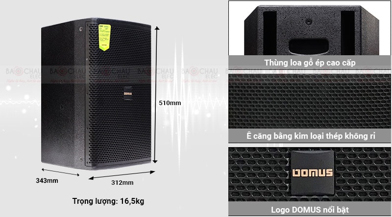 Loa karaoke Domus DP 6100
