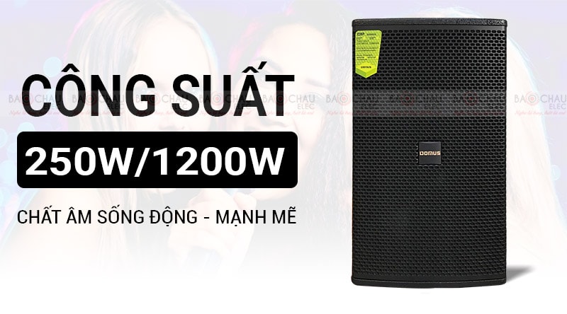 Loa karaoke Domus DP 6100