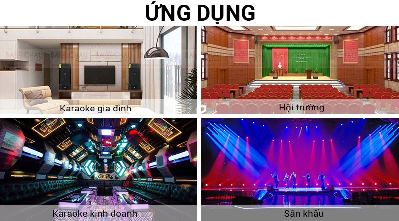 Loa karaoke Domus DP 6100