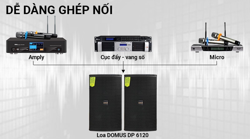 Loa Domus DP 6120