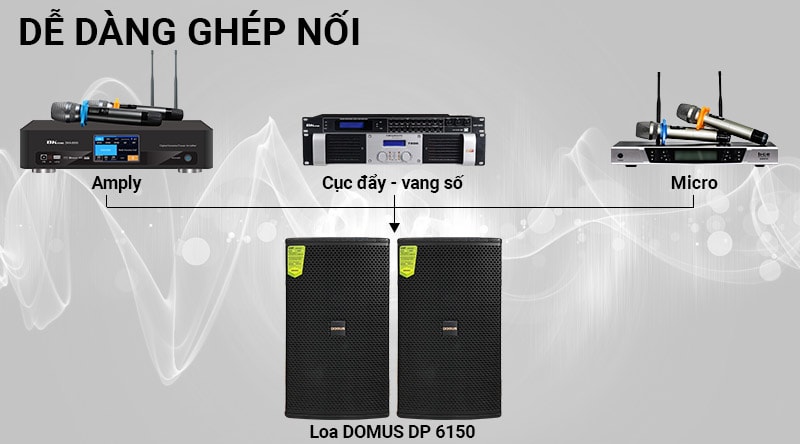 Loa karaoke Domus DP 6150