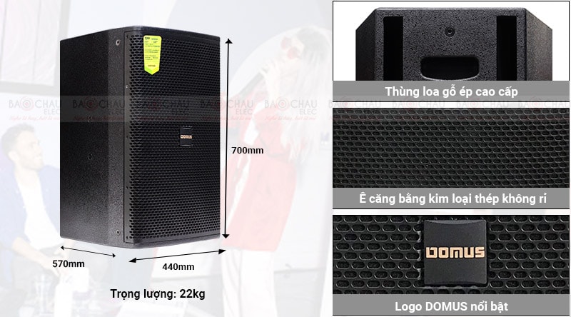 Loa karaoke Domus DP 6150