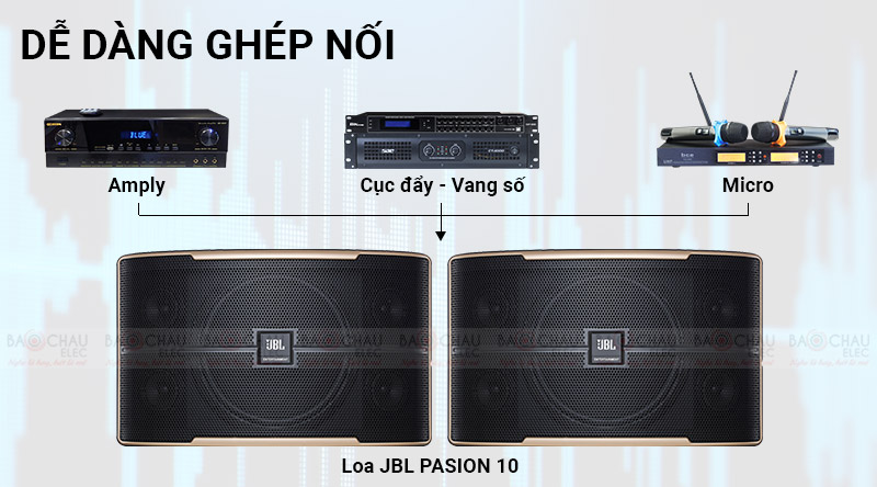 Loa karaoke JBL Pasion 10