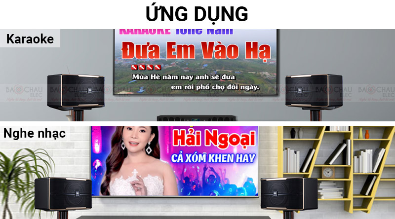 Loa karaoke JBL Pasion 12