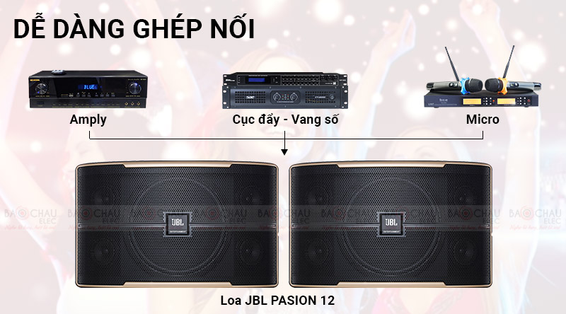 Loa karaoke JBL Pasion 12