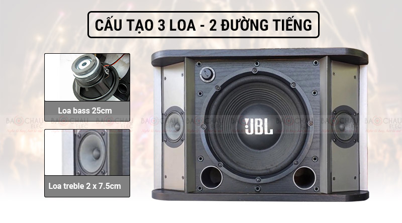 Loa karaoke JBL RM10II