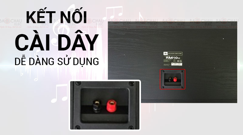 Loa karaoke JBL RM10II