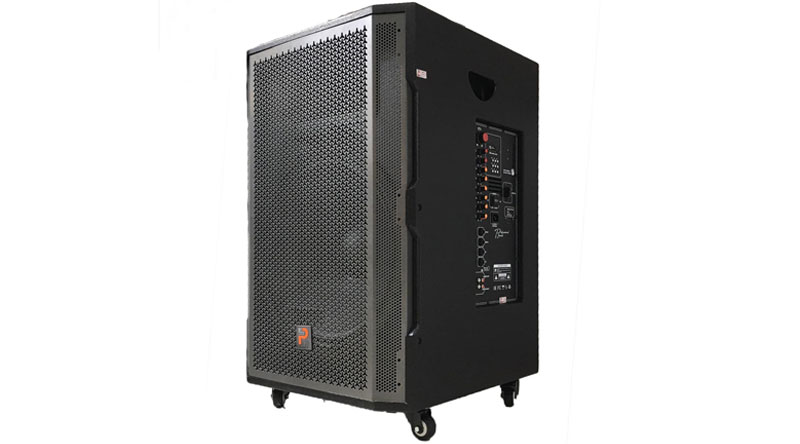 Loa k&eacute;o Prosing W18C