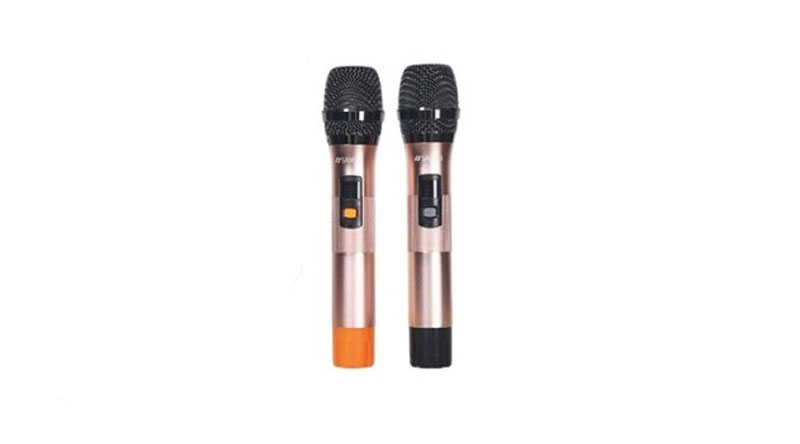 Loa k&eacute;o di động Sansui SG5-215 đi k&egrave;m l&agrave; 2 tay micro kh&ocirc;ng d&acirc;y