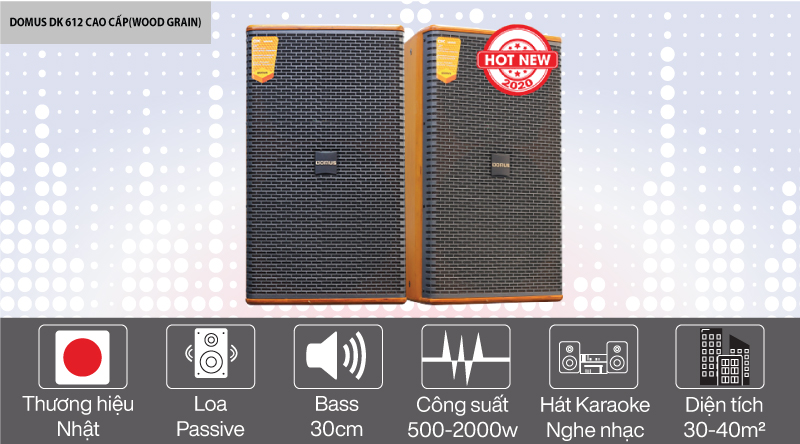 Loa karaoke Domus DK612